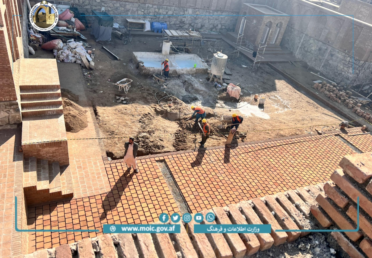 ضسیبلا